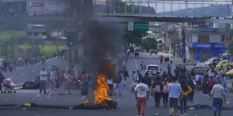 Foto AFP vía INFOBAE