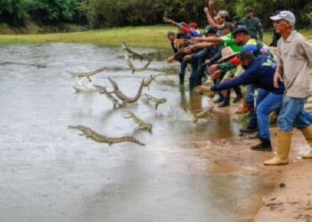 Foto @inea_venezuela