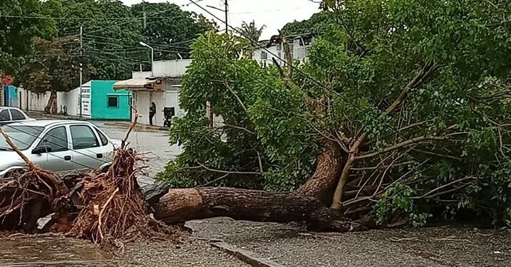 Foto vía lapatilla.com